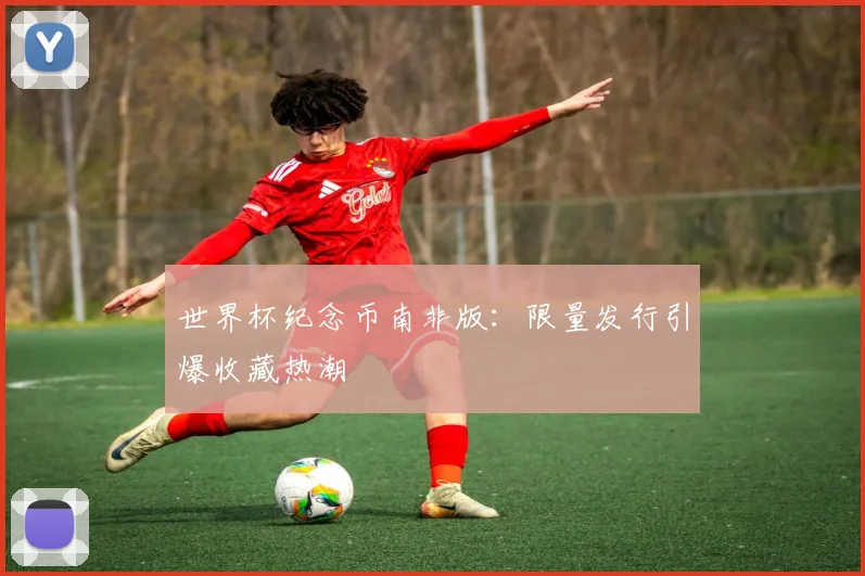 世界杯纪念币南非版：限量发行引爆收藏热潮